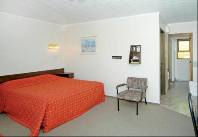 Ace High Motor Inn Napier Bagian luar foto